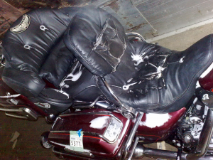 201012312607.jpg