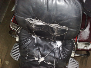 201012312611.jpg